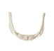 Hyoid Bone