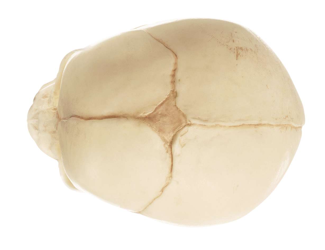 qs3_3_v04pa1IXj1UkvGG6_800x600