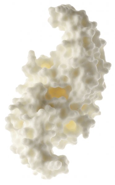 Modelo de proteína (factor de crecimiento óseo humano BMP-2)