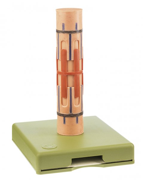 Functional Model of a Myofibril