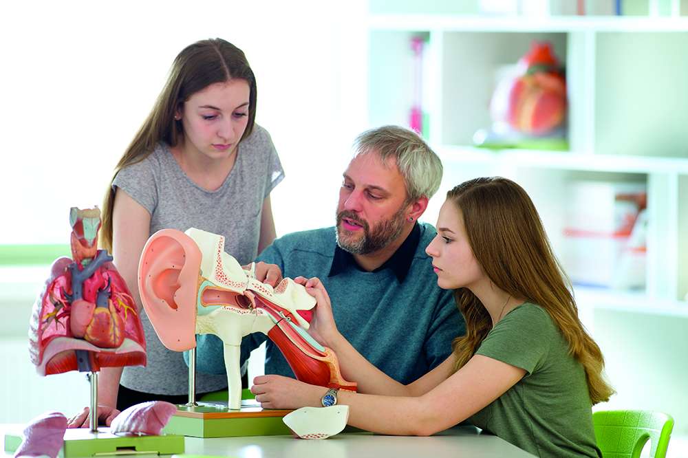 Original SOMSO® Modelle SOMSO®