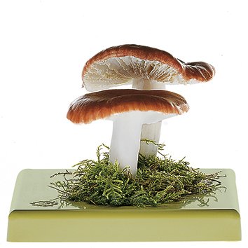 Sickener Mushroom