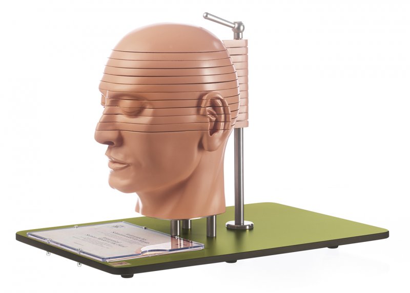 Modèle de coupes anatomiques de la tête (en liaison avec des images scanographiques et RM correspondantes)