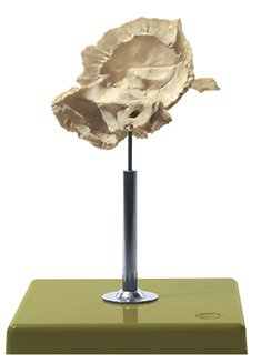 Artificial Temporal Bone